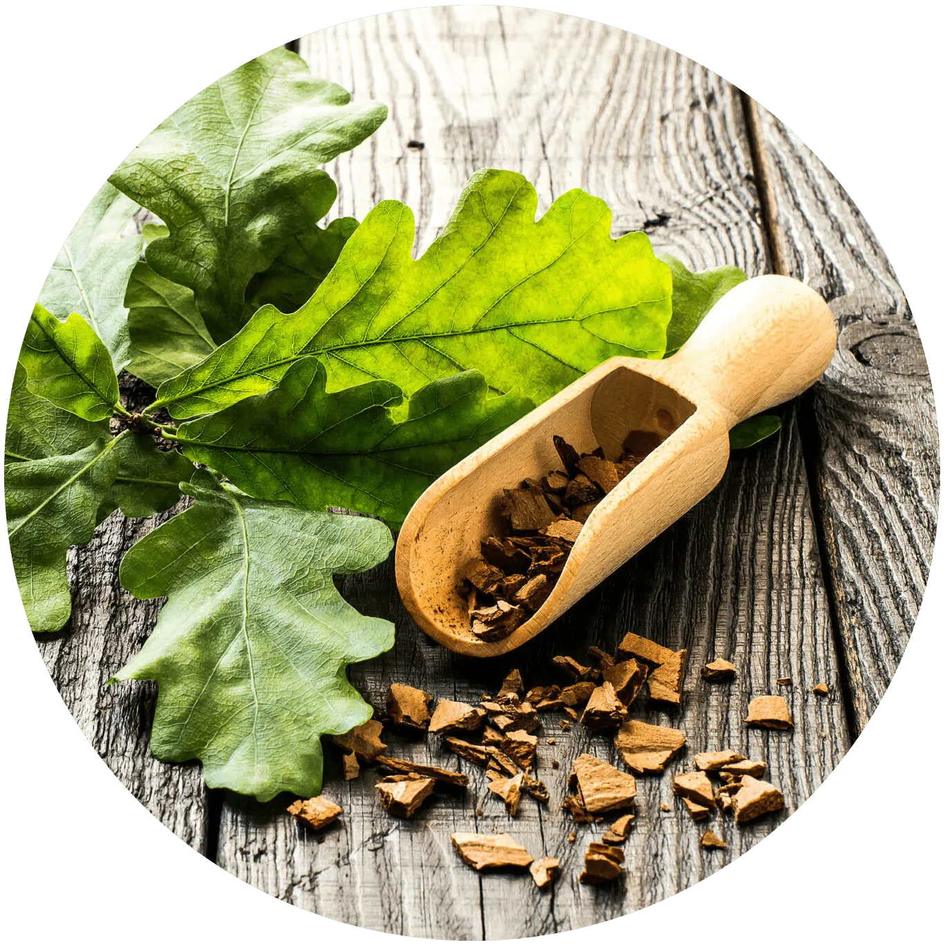 Вытяжка из пантов алтайского марала